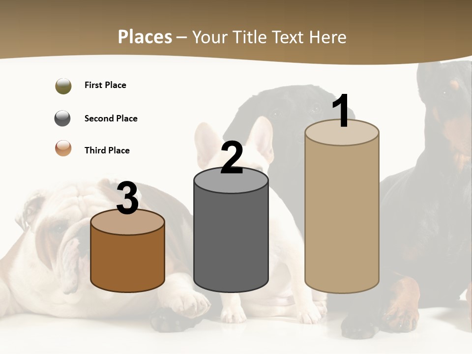 Looks Muscular Growth PowerPoint Template