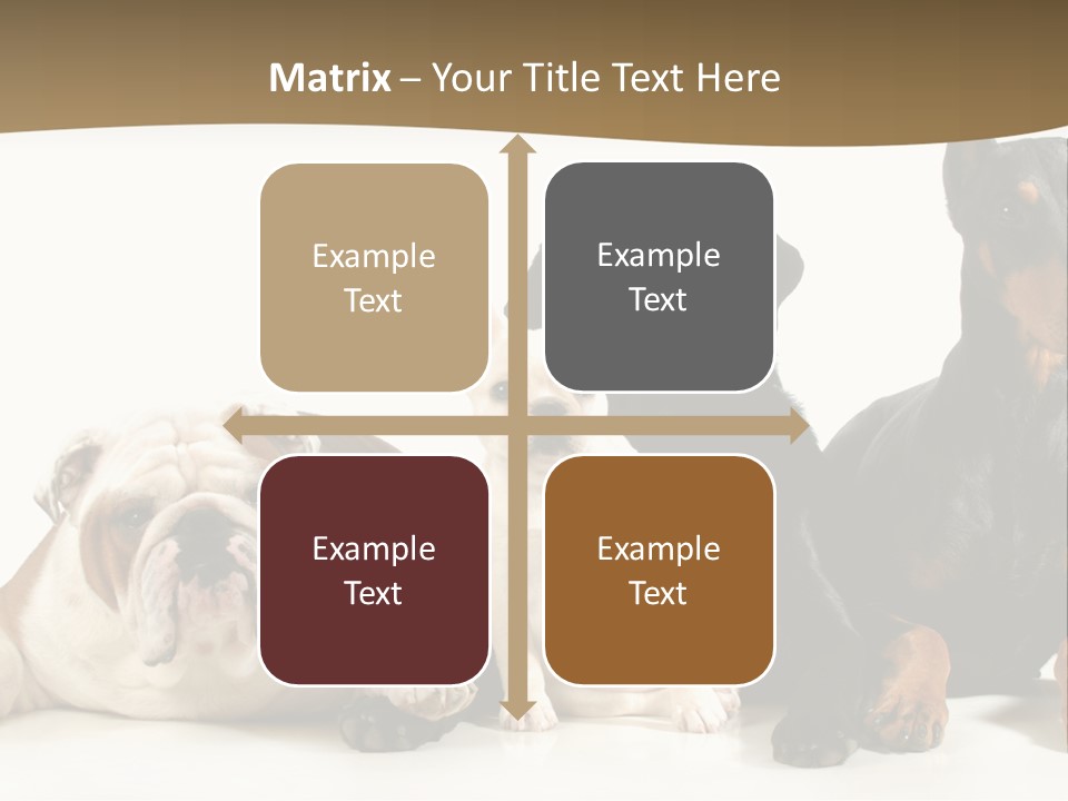 Looks Muscular Growth PowerPoint Template