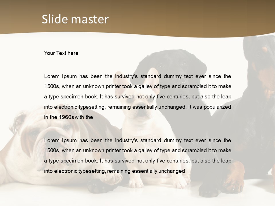 Looks Muscular Growth PowerPoint Template