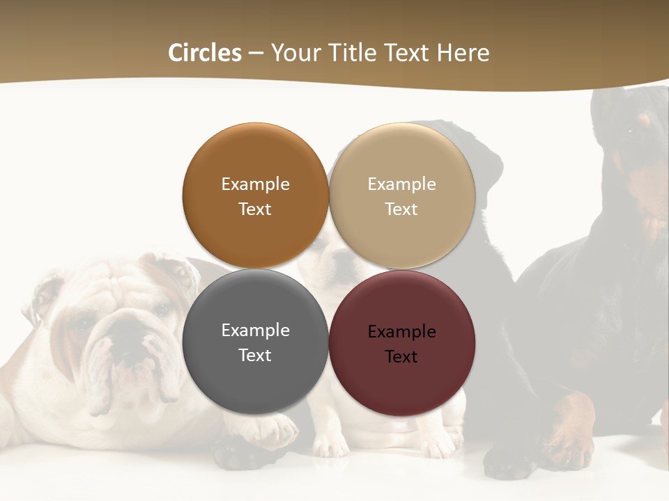 Looks Muscular Growth PowerPoint Template