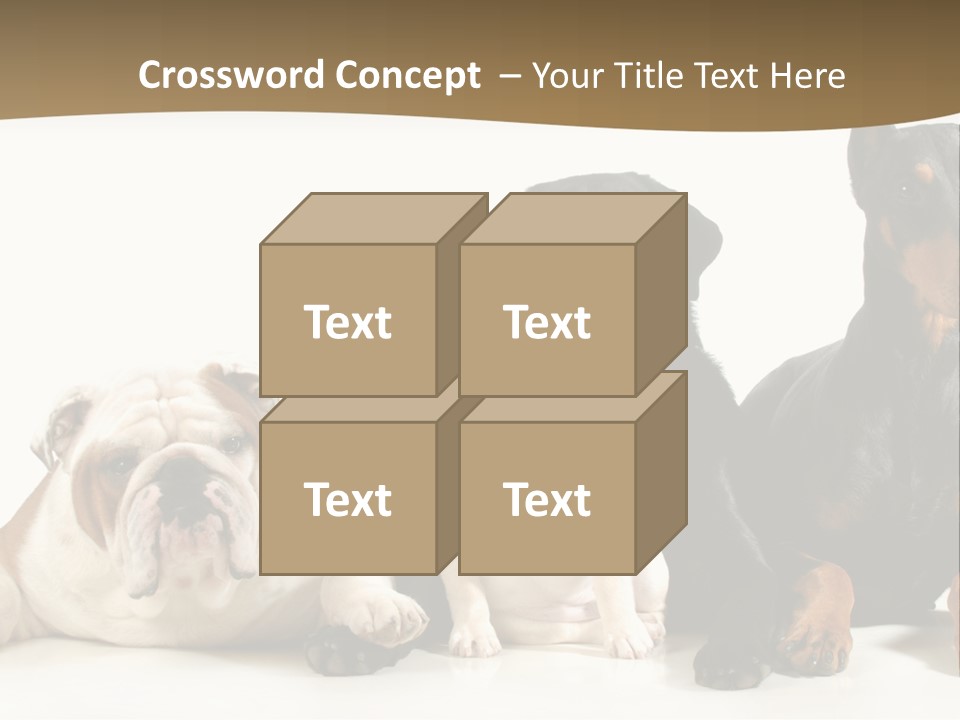 Looks Muscular Growth PowerPoint Template