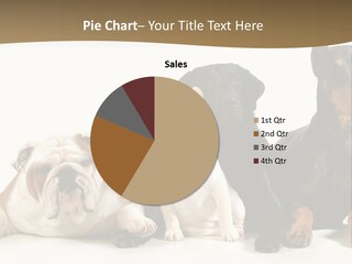 Looks Muscular Growth PowerPoint Template