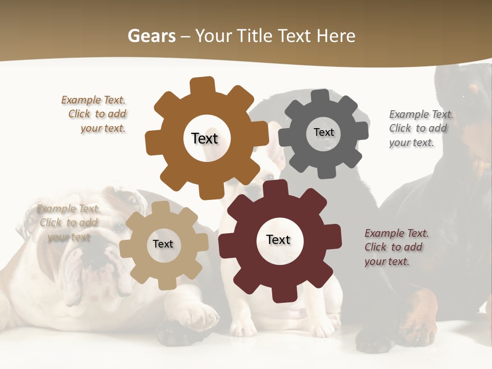 Looks Muscular Growth PowerPoint Template