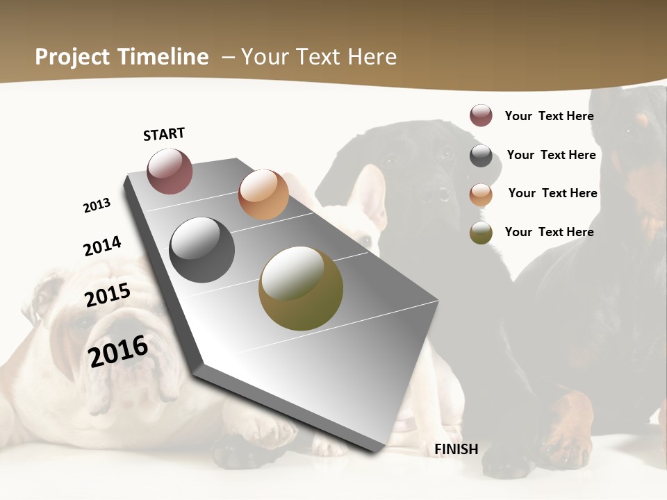 Looks Muscular Growth PowerPoint Template