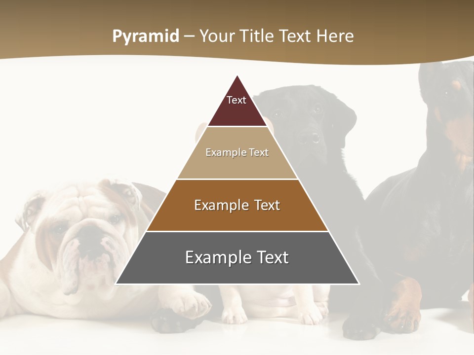 Looks Muscular Growth PowerPoint Template