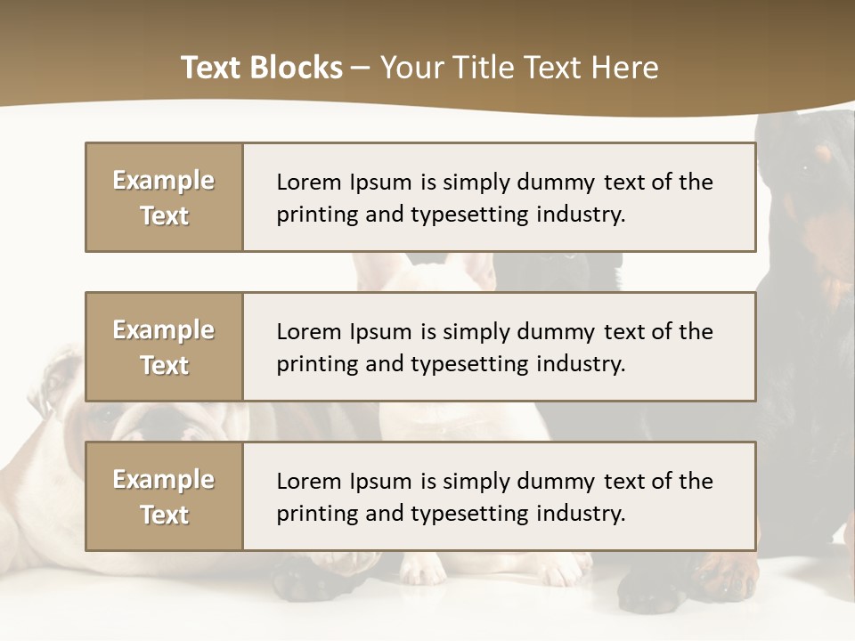 Looks Muscular Growth PowerPoint Template