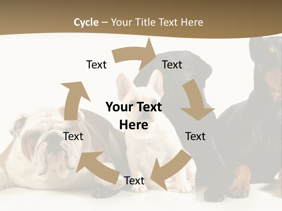 Looks Muscular Growth PowerPoint Template