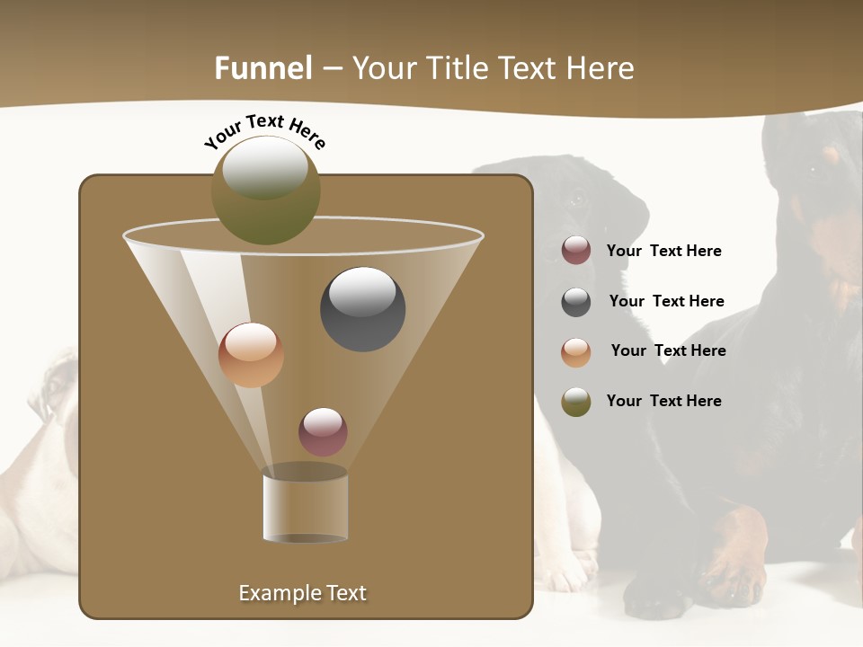 Looks Muscular Growth PowerPoint Template