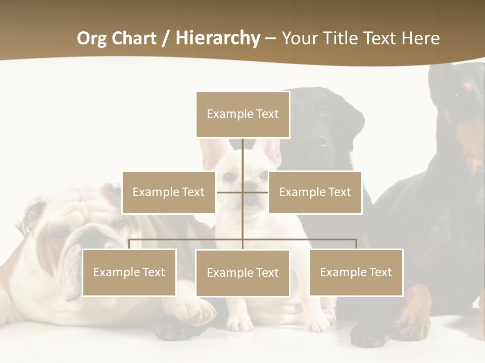 Looks Muscular Growth PowerPoint Template