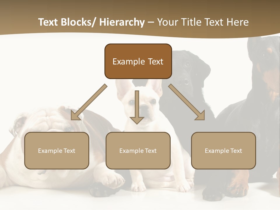 Looks Muscular Growth PowerPoint Template
