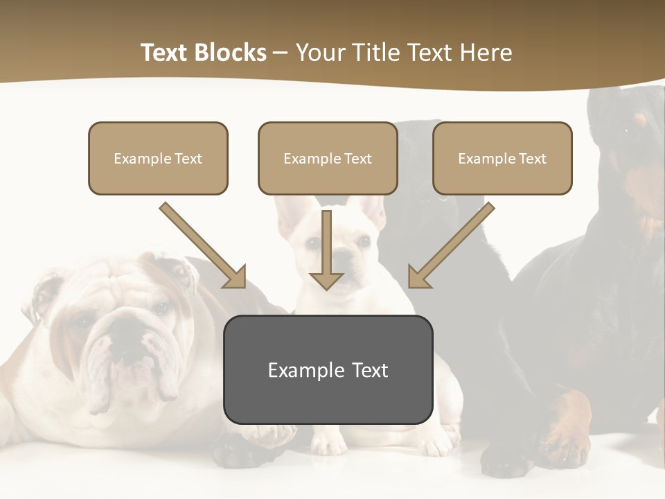 Looks Muscular Growth PowerPoint Template
