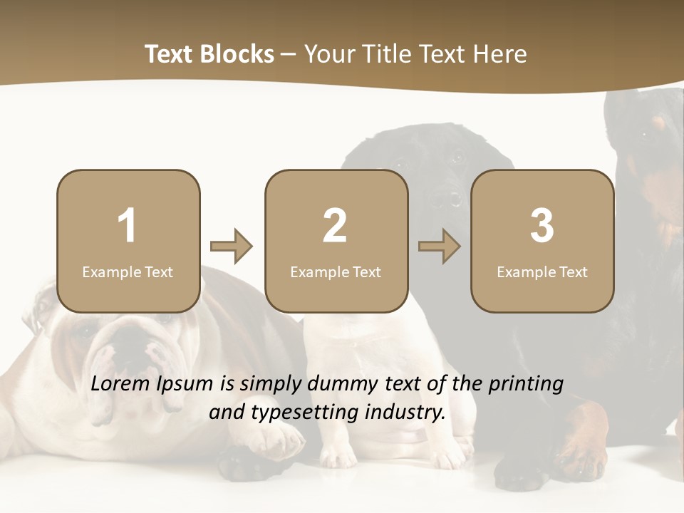 Looks Muscular Growth PowerPoint Template