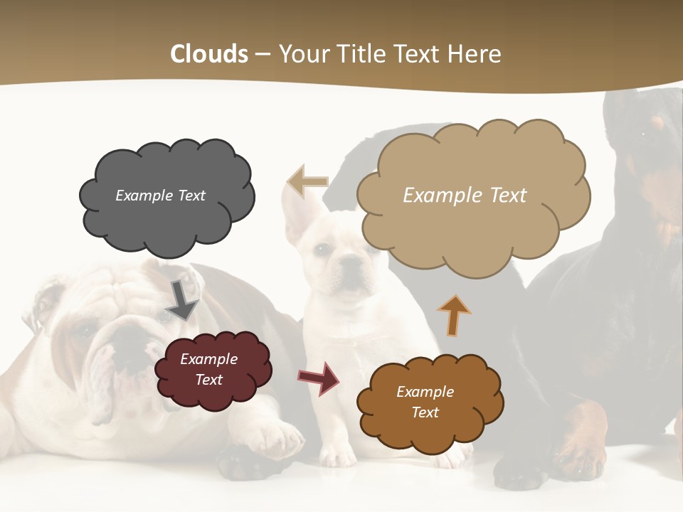 Looks Muscular Growth PowerPoint Template