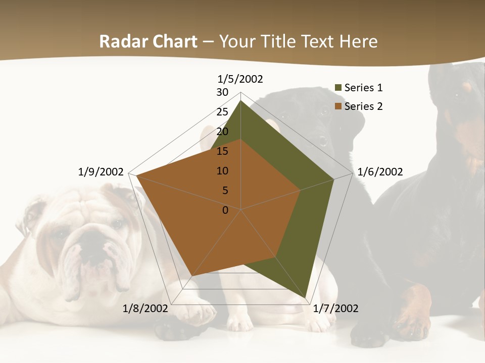 Looks Muscular Growth PowerPoint Template