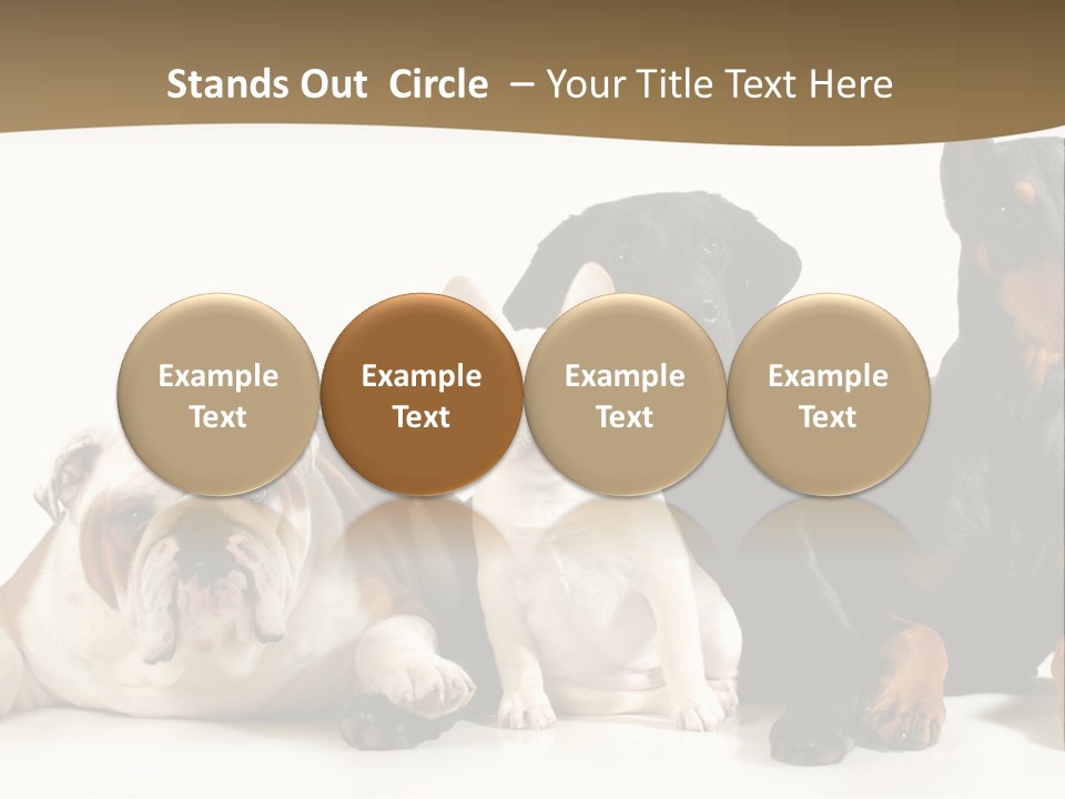 Looks Muscular Growth PowerPoint Template