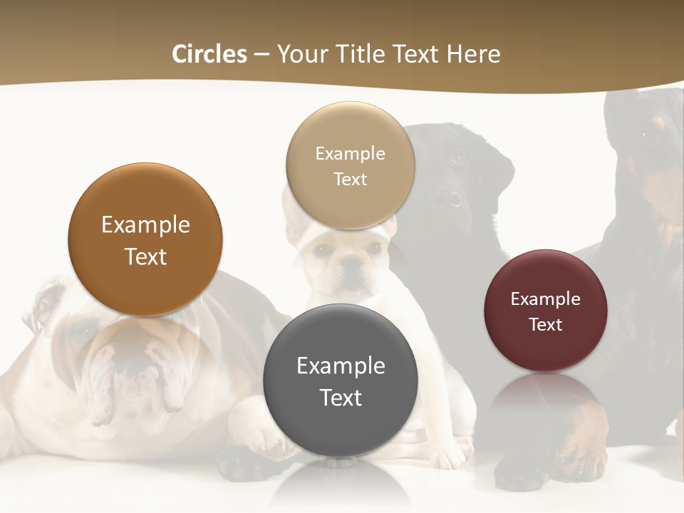 Looks Muscular Growth PowerPoint Template