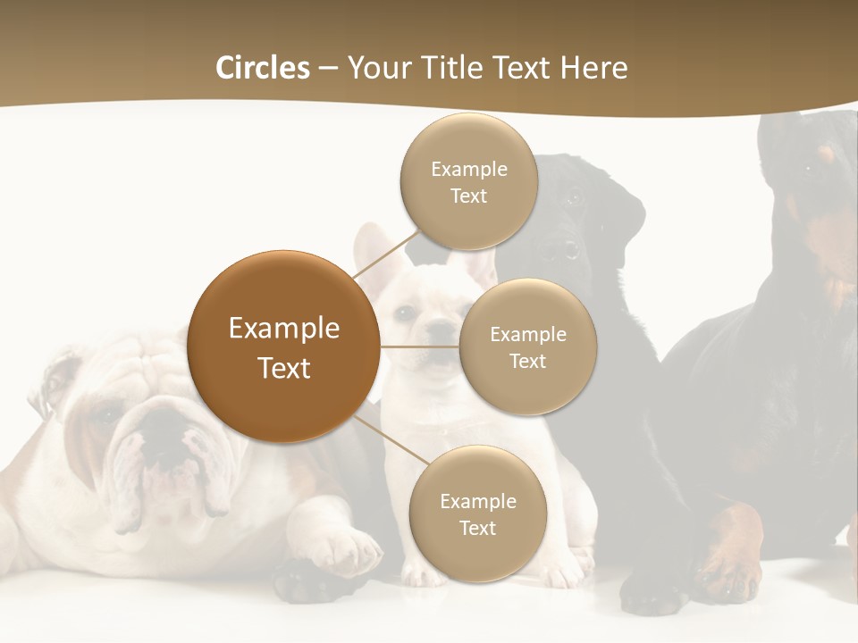 Looks Muscular Growth PowerPoint Template