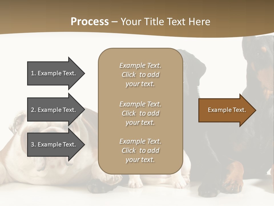 Looks Muscular Growth PowerPoint Template
