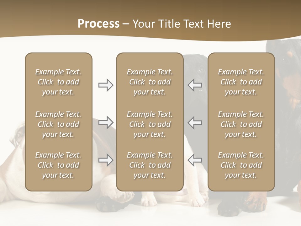 Looks Muscular Growth PowerPoint Template