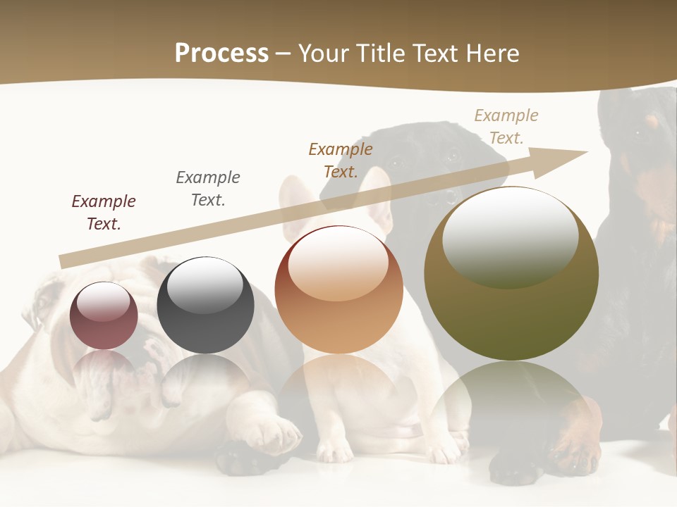 Looks Muscular Growth PowerPoint Template