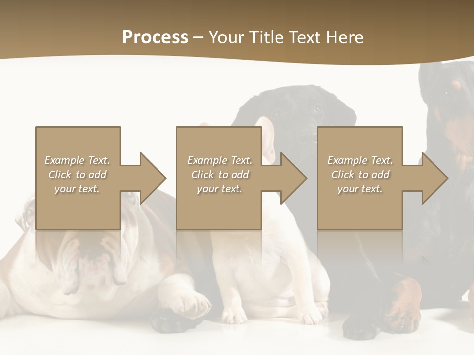 Looks Muscular Growth PowerPoint Template