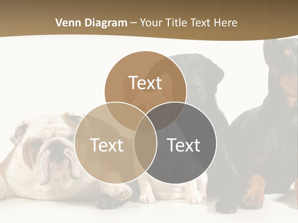 Looks Muscular Growth PowerPoint Template