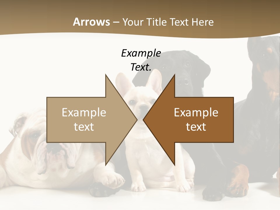 Looks Muscular Growth PowerPoint Template