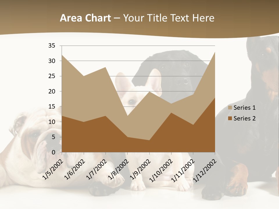 Looks Muscular Growth PowerPoint Template