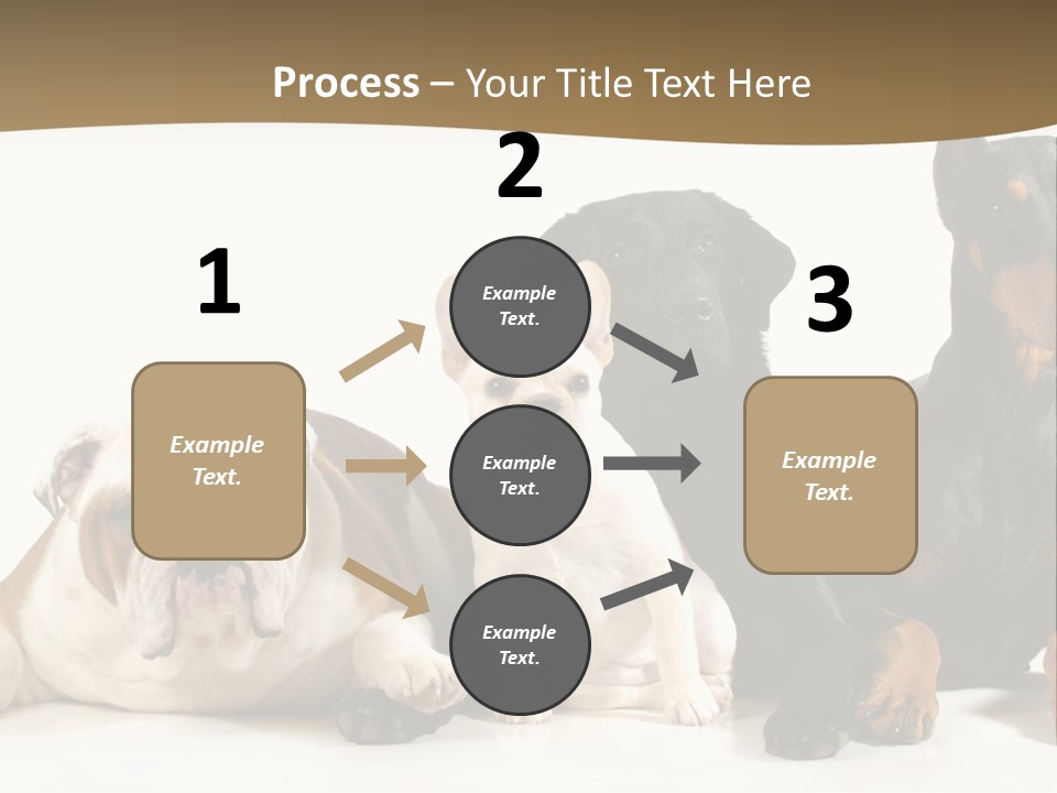 Looks Muscular Growth PowerPoint Template