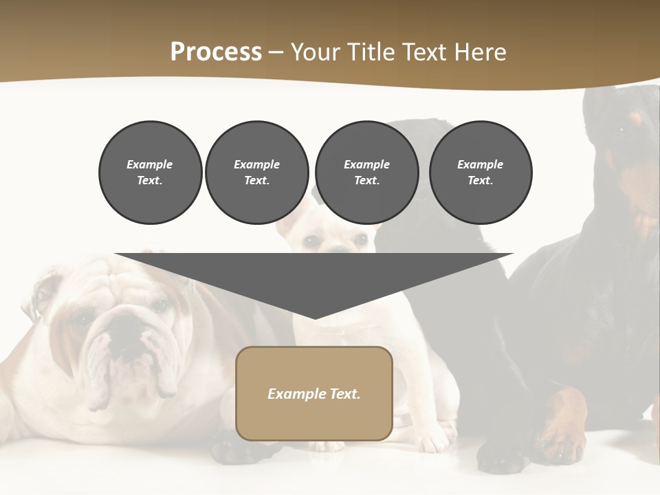 Looks Muscular Growth PowerPoint Template