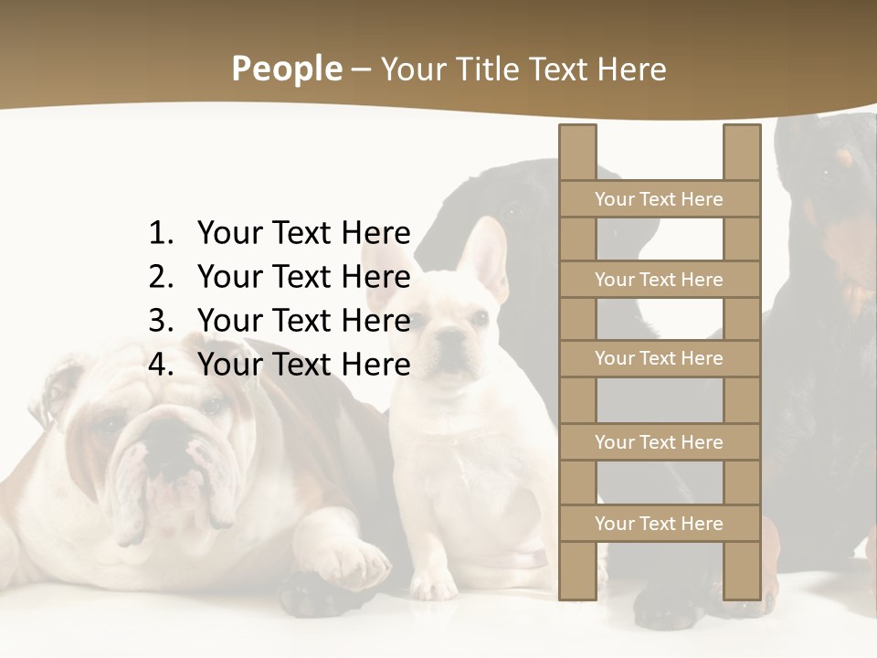 Looks Muscular Growth PowerPoint Template