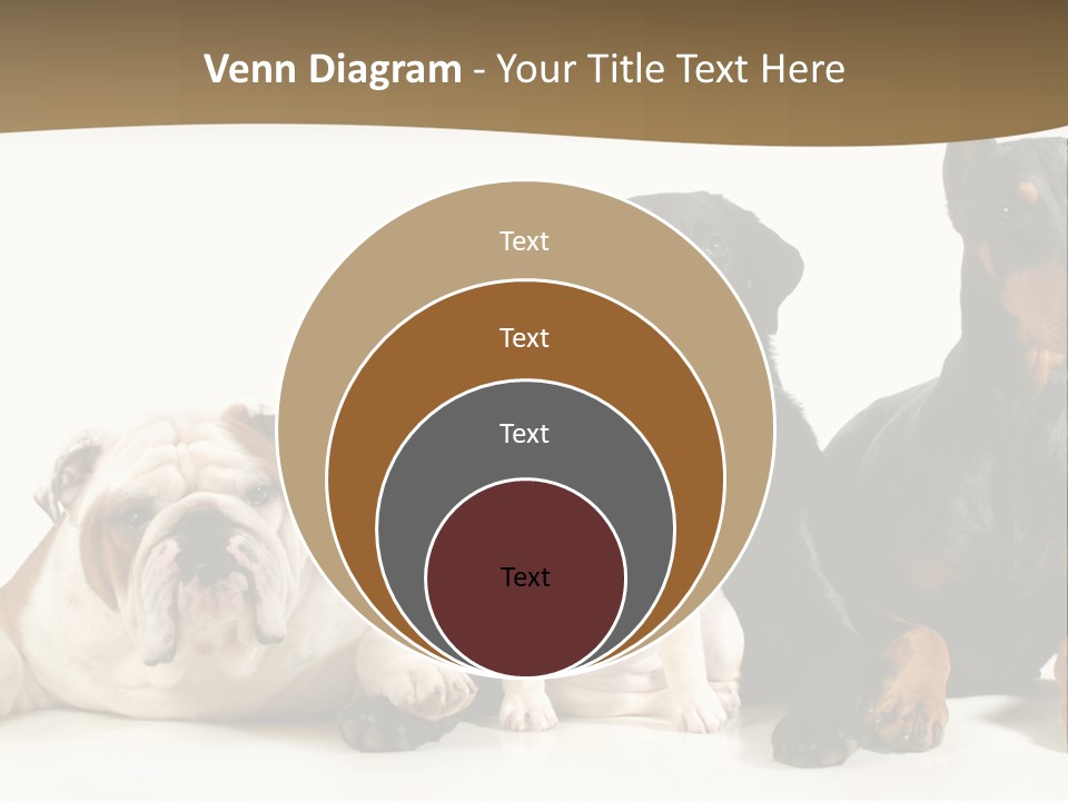 Looks Muscular Growth PowerPoint Template