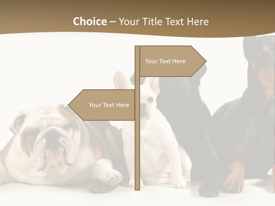 Looks Muscular Growth PowerPoint Template