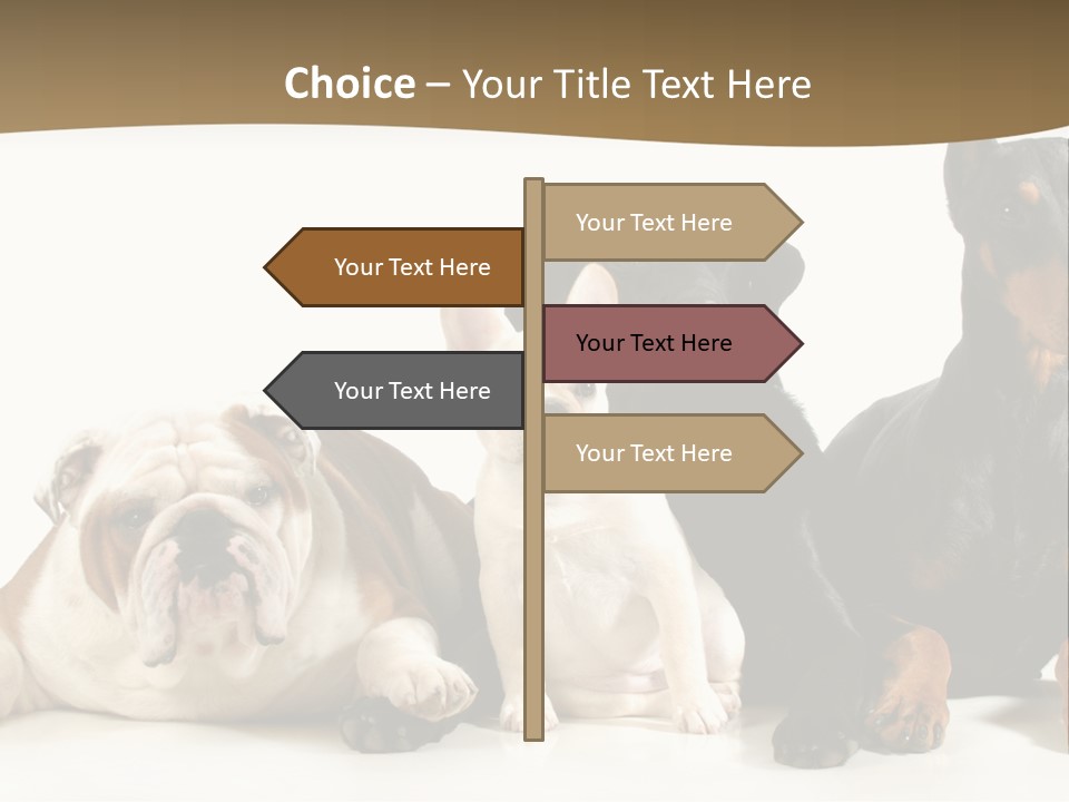Looks Muscular Growth PowerPoint Template