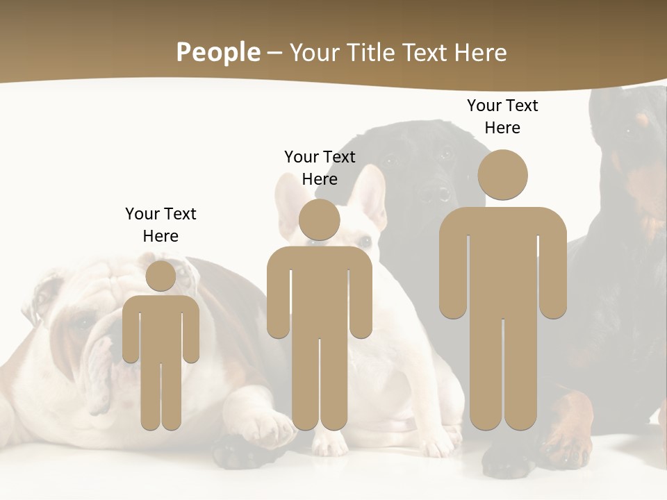 Looks Muscular Growth PowerPoint Template