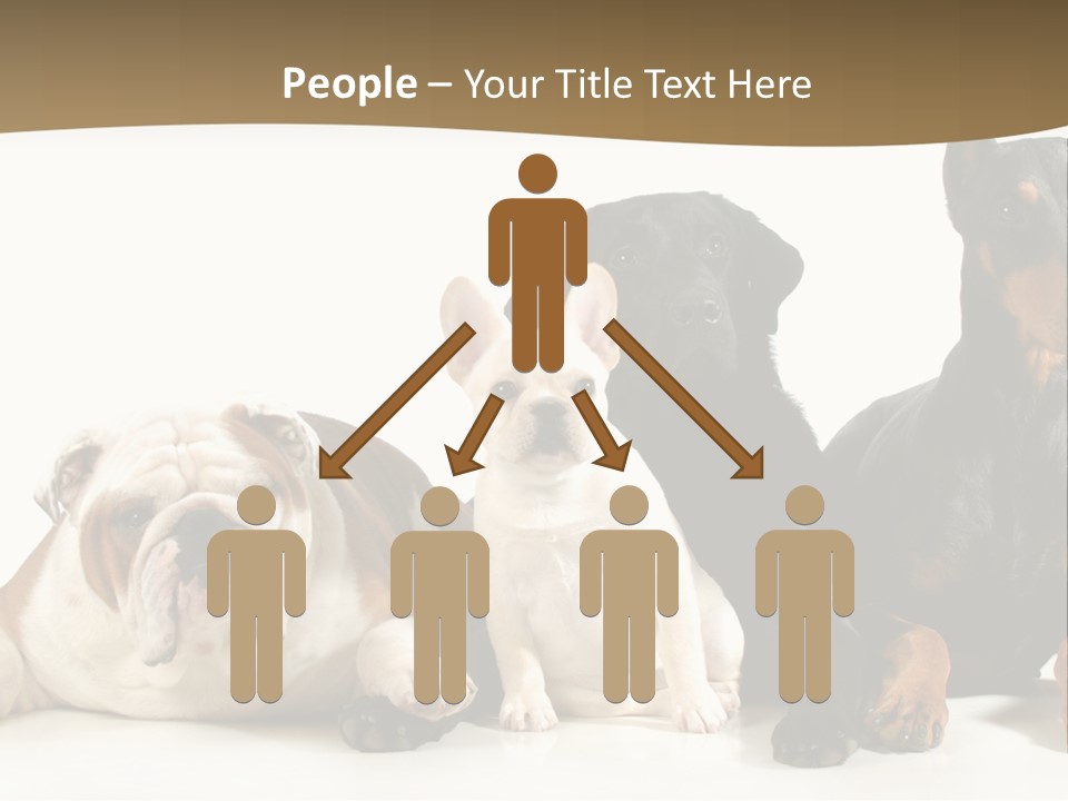 Looks Muscular Growth PowerPoint Template