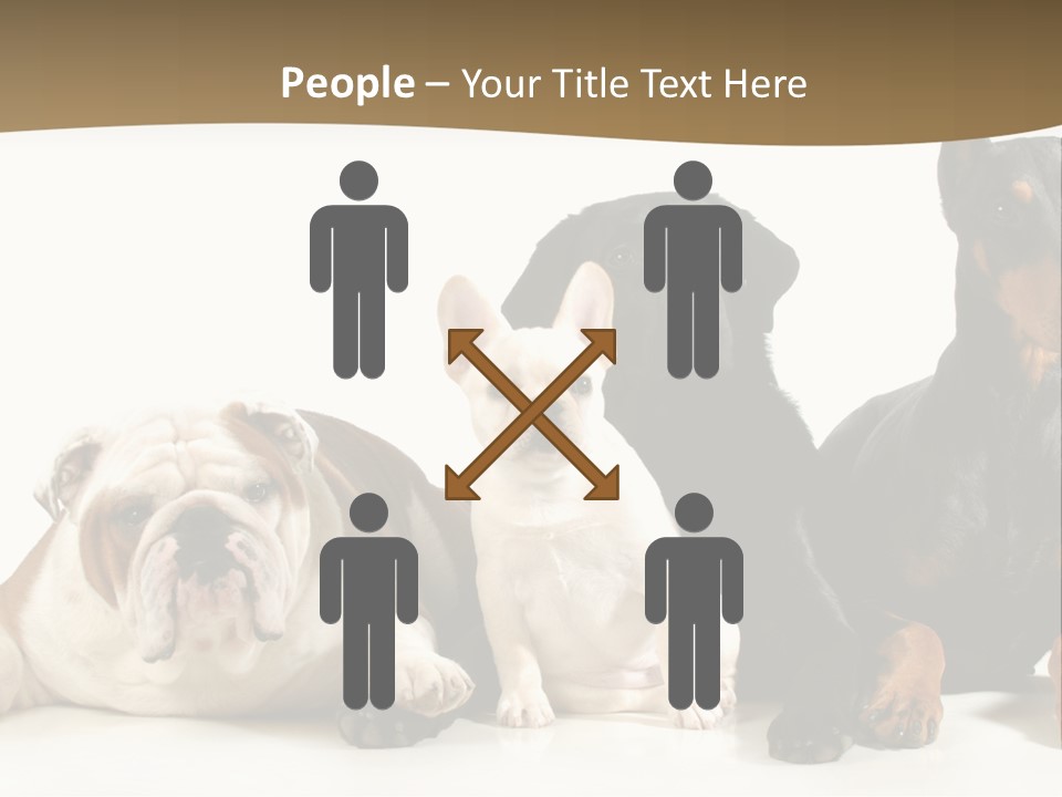 Looks Muscular Growth PowerPoint Template