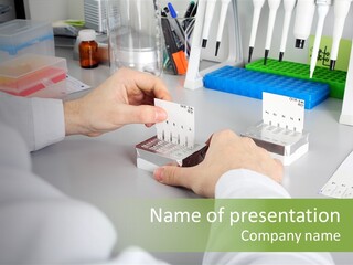 Discover Development Working PowerPoint Template