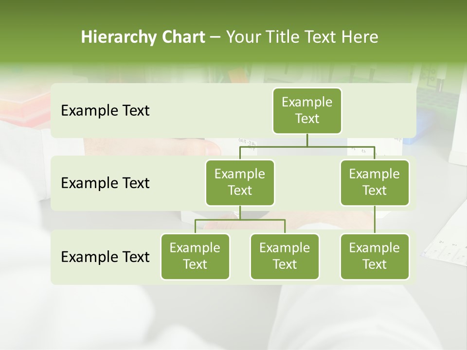 Discover Development Working PowerPoint Template