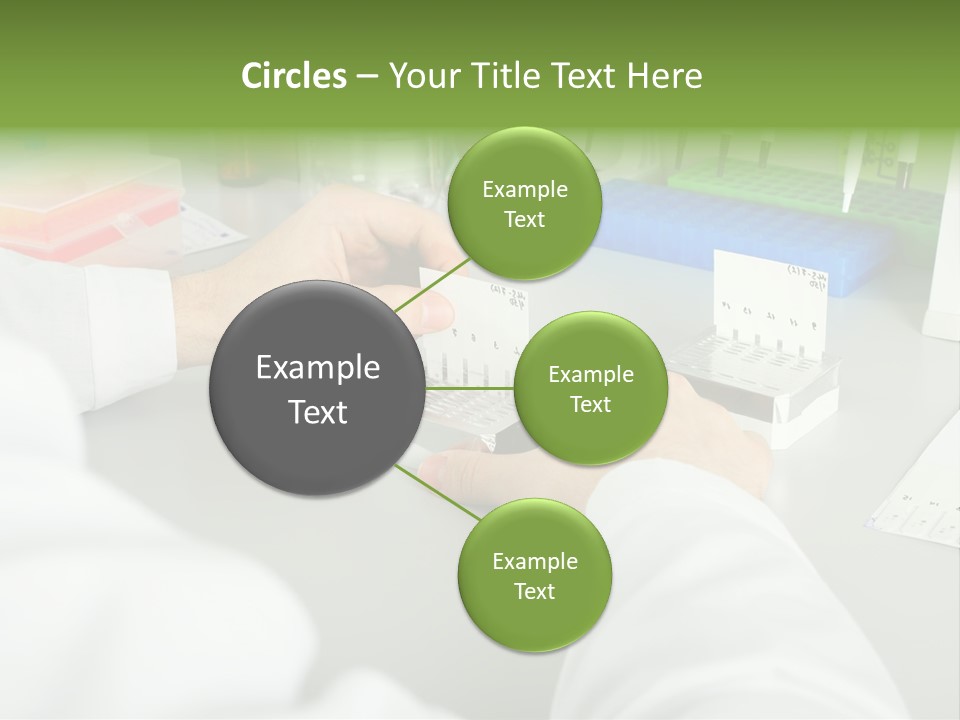 Discover Development Working PowerPoint Template
