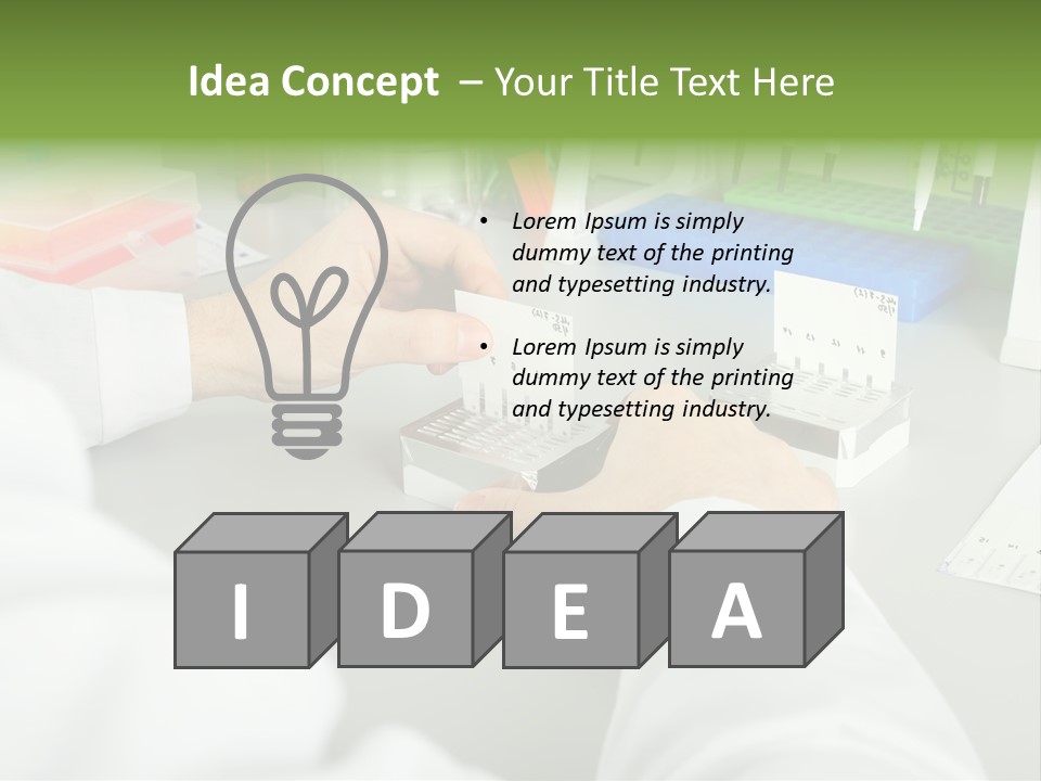 Discover Development Working PowerPoint Template