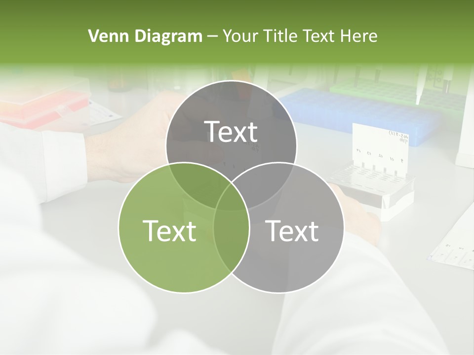 Discover Development Working PowerPoint Template