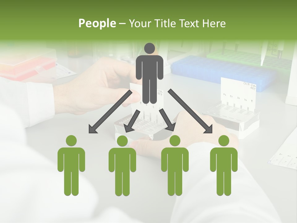 Discover Development Working PowerPoint Template