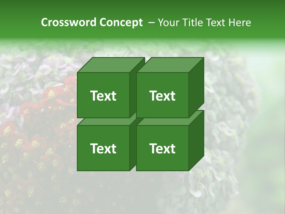 Wild Flowers Pink Yarrow Colorful Flowers PowerPoint Template