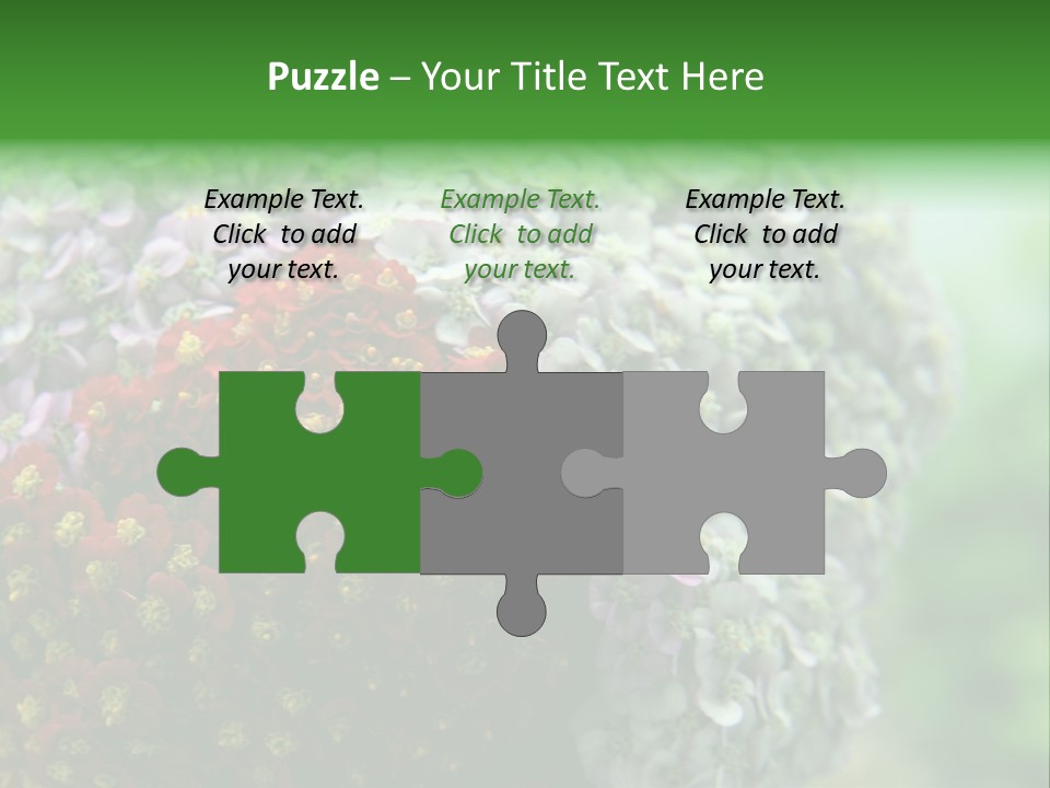 Wild Flowers Pink Yarrow Colorful Flowers PowerPoint Template