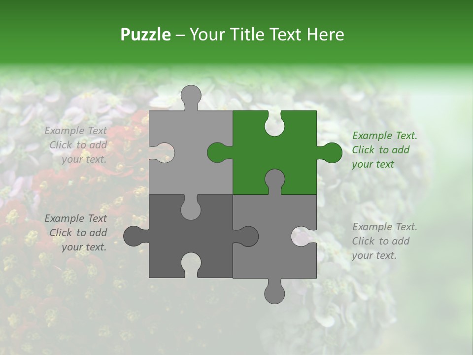 Wild Flowers Pink Yarrow Colorful Flowers PowerPoint Template