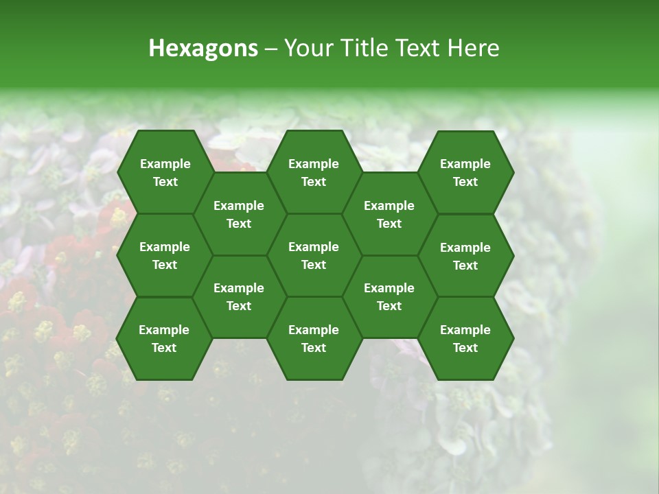 Wild Flowers Pink Yarrow Colorful Flowers PowerPoint Template