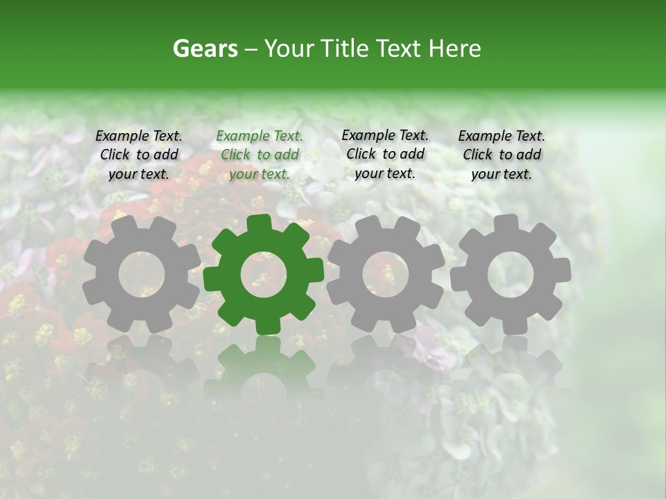 Wild Flowers Pink Yarrow Colorful Flowers PowerPoint Template