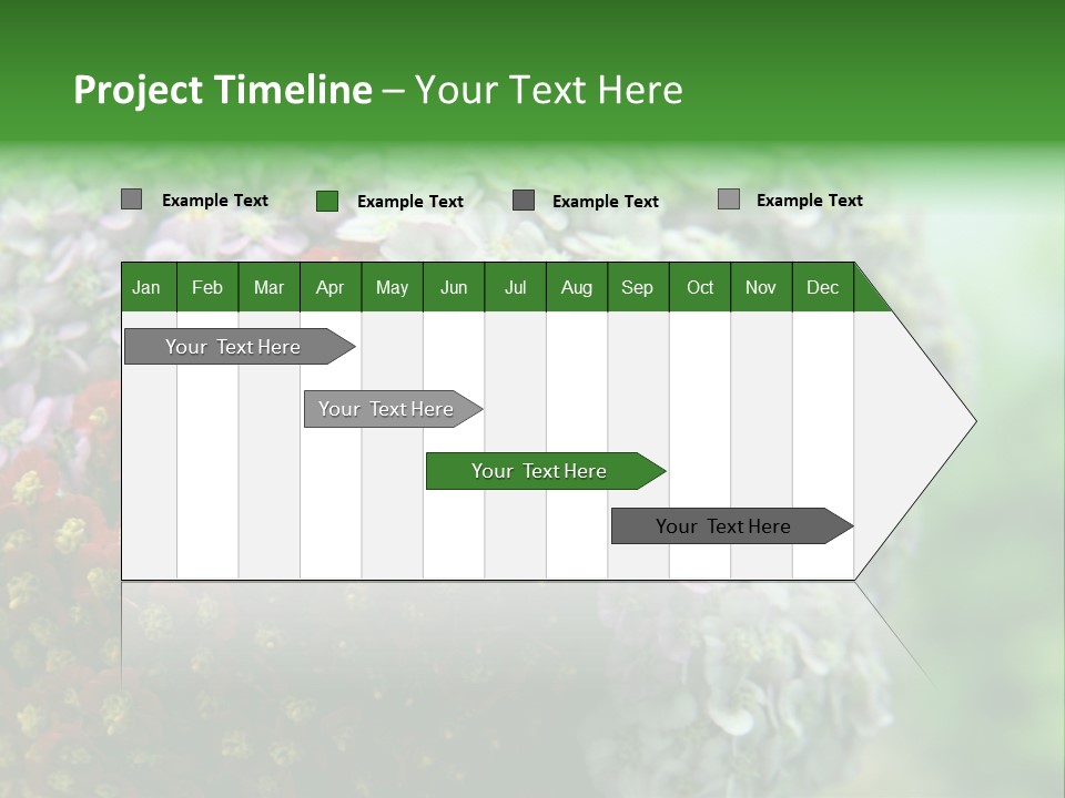 Wild Flowers Pink Yarrow Colorful Flowers PowerPoint Template