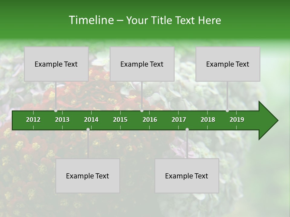 Wild Flowers Pink Yarrow Colorful Flowers PowerPoint Template